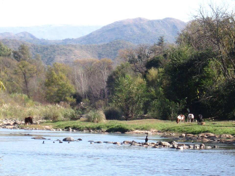 260 rio anisacate 03