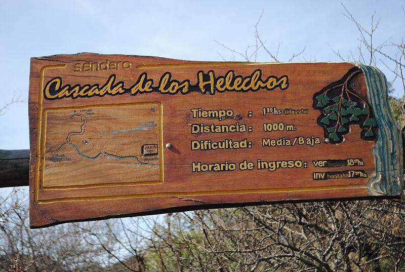 225 casc helechos 0