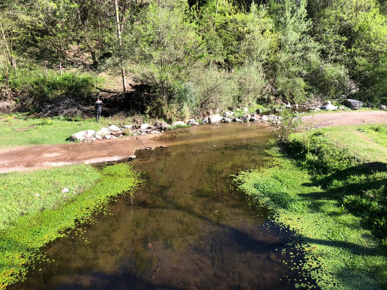 857bf1f4-1338-4149-91f0-57bf6ff3edfb