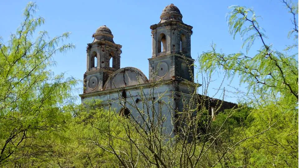 265 navarro