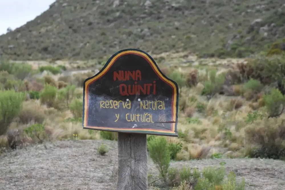 172 nuna quinti