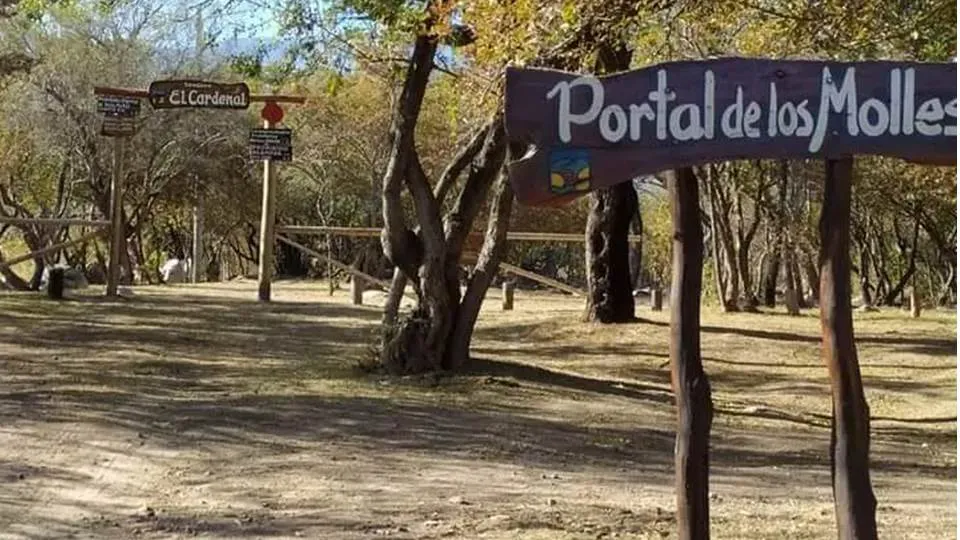 173 cardenal