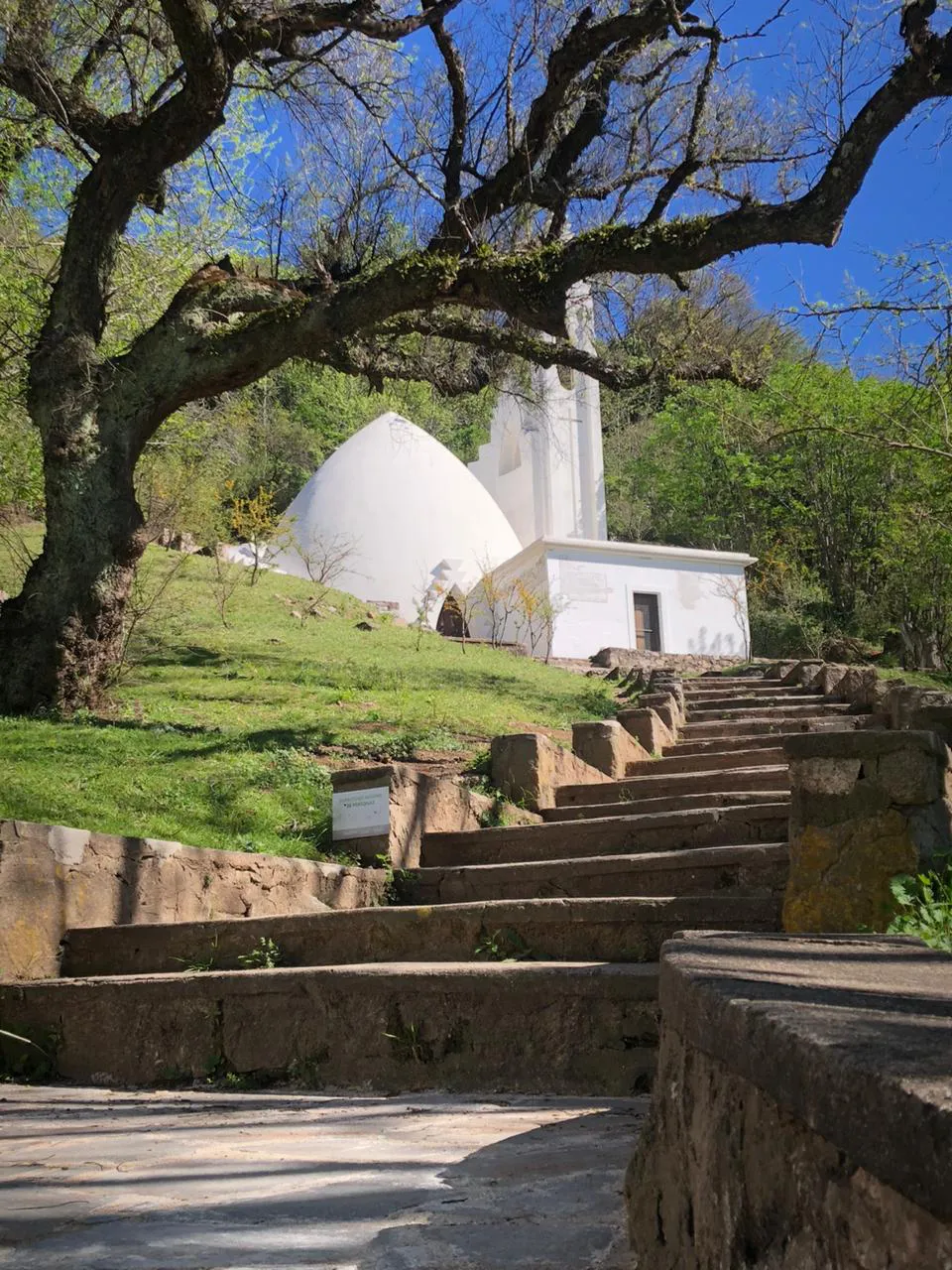 0add5324-4b06-41c9-9f4b-46aa1a1e285f