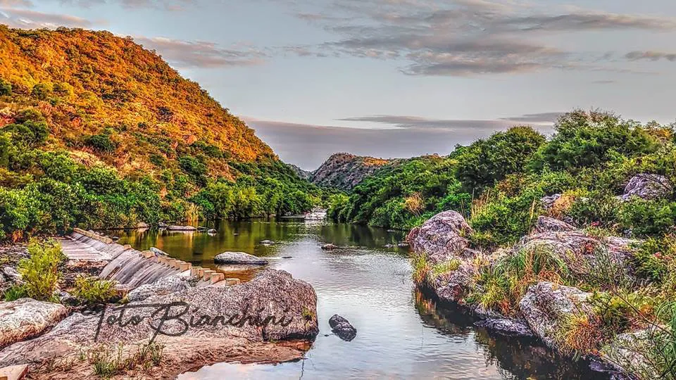 200 toto bianchini la toma