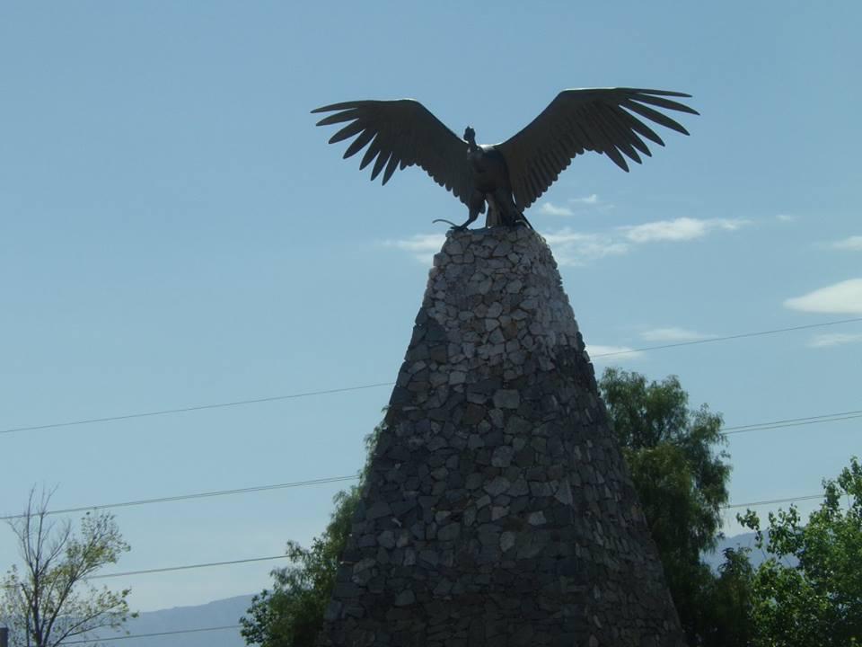 194 condor v dolores 02