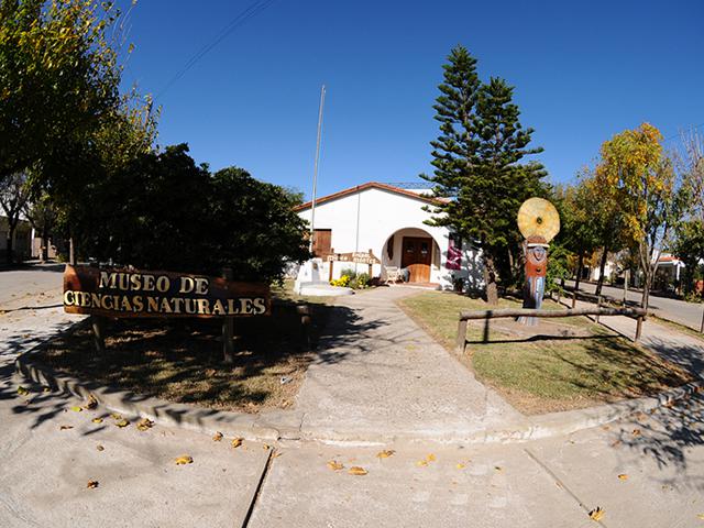 250 montes museo